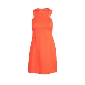 Orange Rebecca Taylor Dress